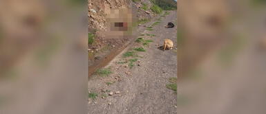 Áncash: Encuentran cadáver de adulto mayor que era acompañado por sus mascotas Áncash: Encuentran cadáver de adulto mayor que era acompañado por sus mascotas