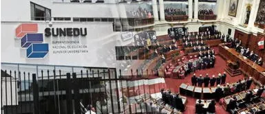 Proyecto de ley, que cuenta con las firmas de seis parlamentarios de Acción Popular y la no agrupada Flor Pablo. Congreso: proponen que Sunedu sea incluida en la Constitución Política