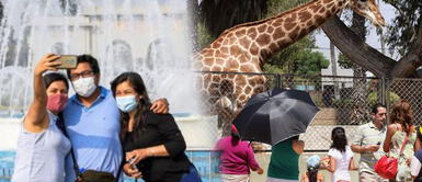 Lima: este 18 de enero personas ingresarán gratis al Parque de las Leyendas, Pantanos de Villa y Circuito Mágico del Agua Aniversario de Lima: Conoce los eventos gratuitos que se realizarán para celebrar este 18 de enero