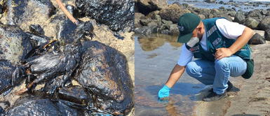 Ventanilla: Repsol debe limpiar en 10 días zonas afectadas por derrame de petróleo, señala Minam. Ministerio del Ambiente dispone que Repsol limpie en 10 días zonas afectadas por derrame de petróleo