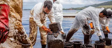 Estrategia de habitantes de isla Mauricio ante el derrame de petróleo en 2020. Derrame de petróleo: peluquerías ofrecen corte gratis para ejecutar estrategia de los habitantes de Mauricio en Perú