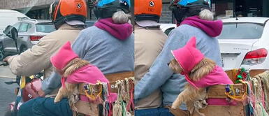 Perrita se vuelve viral tras lucir una capucha como caperucita en una moto acoplada para ella. TikTok: Pareja se viraliza al mejorar su moto para llevar a su perrita