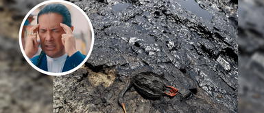 “Aguas negras asesinas… animales muertos” Reinaldo Dos Santos habría adivinado el derrame de petróleo “Aguas negras asesinas… animales muertos” Reinaldo Dos Santos habría adivinado el derrame de petróleo