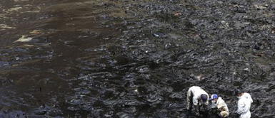 Trabajadores limpiando el crudo varado en la arena. Minem sobre daños ocasionados por derrame de petróleo en playas de Lima y Callao: “Nos dejó sin verano”