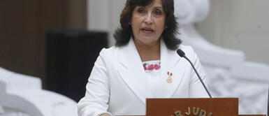 Perú Libre expulsó a Dina Boluarte por declaraciones sobre el ideario Perú Libre expulsó a Dina Boluarte por declaraciones sobre el ideario