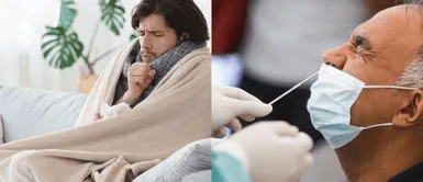 Los principales síntomas de la variante Ómicron son fiebre, tos y falta de apetito. Los principales síntomas de la variante Ómicron son fiebre, tos y falta de apetito.