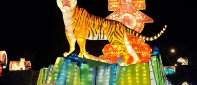 El Año Nuevo chino 2022 cuenta con muchas tradiciones y rituales que deben ser cumplidos. Foto: AFP Año Nuevo Chino 2022: ¿Cuáles son los rituales más famosos del país asiático?