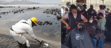OEFA advirtió que el cabello humano podría generar más contaminación en el mar Preocupa gran cantidad de cabello donado en Lima y regiones que no sería usado para limpieza del mar