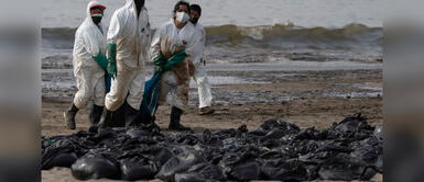 Medidas de seguridad son vitales para evitar riesgos de salud. ¿Cuáles son los riesgos de salud tras el derrame de petróleo?