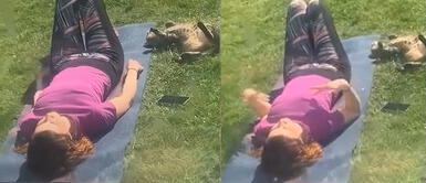 Gatito hace yoga con la vecina de su dueña Buscaba a su gato perdido y lo encuentra haciendo yoga con su vecina