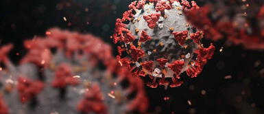 La nueva subvariante sería mucho más contagiosa que las variantes ya registradas en el mundo. Variante ómicron BA.2 no genera alarma a pesar de ser más contagiosa