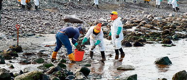 Panorama desolador. Según los elementos de convicción recogidos hasta el momento por el fiscal Ariel Tapia, Repsol tardó en detener el avance del crudo y por tanto la contaminación. Foto: difusión Conoce AQUÍ los tipos de pescados que se capturan en alta mar peruano y se venden en el mercado