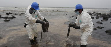 Gobierno anuncia paralización de actividades de Repsol Actividades de Repsol no van más, según informó el Gobierno