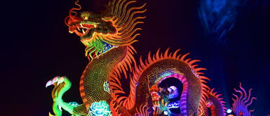 Existen ciertas flores que atraen la buena suerte al hogar en el Año Nuevo Chino. Año Nuevo Chino 2022: ¿Qué flores atraen la buena suerte al hogar?