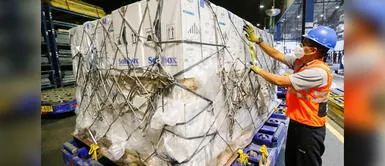 Menores de 5 a 11 años podrán seguir vacunándose en el país. Perú recibió un nuevo lote de 498,000 dosis de la vacuna pediátrica