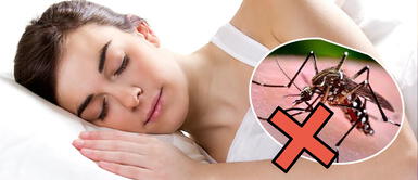 Evita que los mosquitos te piquen por las noches ¿Cómo evitar la picadura de mosquitos en las noches de verano?