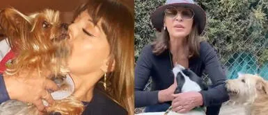 La actriz colombiana publica continuamente fotos con sus perritos e incluso hace labor social Actriz colombiana: "Dejé novios por mi perrito"