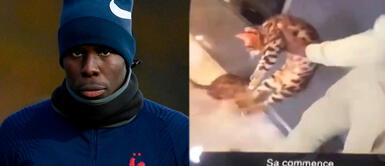 Los videos de Kurt Zouma fueron difundidos en Snapchat. Futbolista maltrata duramente a su gato y ahora pide disculpas tras difusión de video