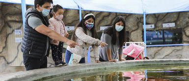 Podrás pasear con la familia o tu pareja en el Parque de las Leyendas. Día San Valentín: Actividades que se realizarán en el Parque de Las Leyendas este 14 de febrero