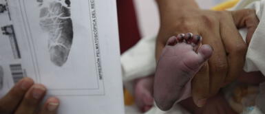 Proponen crear fondo de pensiones a recién nacidos a través de la venta de la placenta. Pensión para recién nacidos: Proponen crear fondo a través de la venta de la placenta