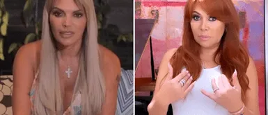 Jessica Newton vuelve a responder a Magaly Medina Jessica Newton vuelve a ignorar a Magaly Medina: "Pongo atención a lo que importa de verdad"