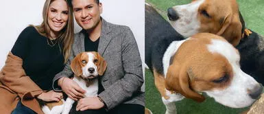 Deyvis y Cassandra habrían abandonado a sus perros Magaly Medina expone que Deyvis y Cassandra habrían abandonado a sus perros