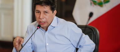 Pedro Castillo anuncia que pedirá a la OEA que envíe una misión para “luchar contra la corrupción”. Pedro Castillo pedirá a la OEA enviar una comitiva que investigue temas de corrupción en el Ejecutivo