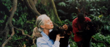 «Vendrán más pandemias», advierte Jane Goodall «Vendrán más pandemias», advierte Jane Goodall
