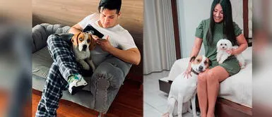 Deyvis y Cassandra fueron duramente criticados por dejar a su perros en hospedaje canino. Deyvis Orosco niega abandono de sus mascotas, pero Tula arremete: "Si yo me mudo estoy con mis perros"