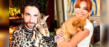 'Peluchín' cuestiona a Magaly Medina por ir a corrida de toros. Rodrigo González ataca a Magaly Medina: "Se sensibiliza con los perros, pero no falta a Acho"