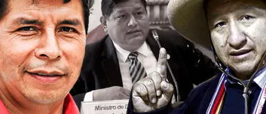 Walter Ayala renunció al cargo de ministro de Defensa tras el conflicto de intereses en las Fuerzas Armadas Pedro Castillo se contradice ante la Fiscalía y culpa a Guido Bellido de designación de Walter Ayala