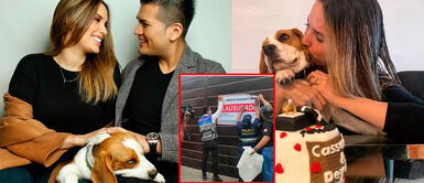 La Municipalidad de Pachacámac confirmó la noticia que el albergue Magic Dog fue clausurado Deyvis Orosco: clausuran albergue, que cuidaba a los perros de Cassandra Sánchez