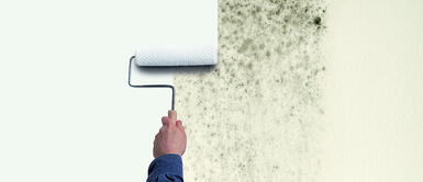 Cuidado con el moho en tu casa. Conoce cómo prevenir y eliminarlo. Hogar: Tips para eliminar el moho y la humedad de manera rápida