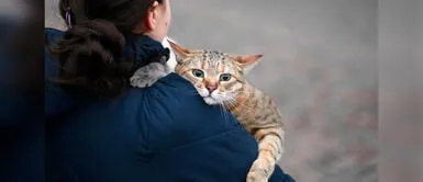 Joven camina cerca de la estación del tren en Kiev. Mujer intenta calmar a su gato que gritaba por bombardeos en Ucrania