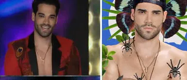 Guty Carrera dejaría EEG en una los próximos días: “Vino a tapar bocas” Guty Carrera dejaría EEG en una los próximos días: “Vino a tapar bocas”