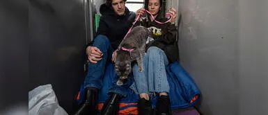 Dueños dejan su hogar en Ucrania junto a su mascota. Las despedidas de mascotas en Ucrania tras ataques de Rusia