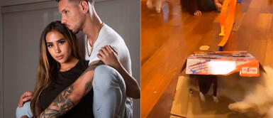 Perrito Caz se queda en el departamento de Melissa Paredes. Melissa Paredes demuestra como su gato y el perro de Anthony Aranda no se llevan bien