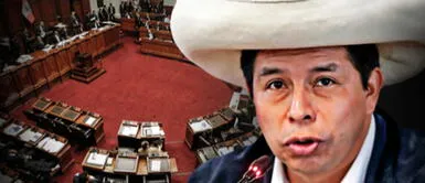 Congreso cita a Castillo para responder por testimonio que Karelim López habría dado a Fiscalía Congreso cita a Castillo para responder por testimonio que Karelim López habría dado a Fiscalía