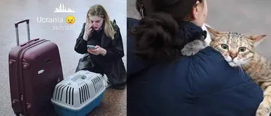 Ucranianos huyen con sus mascotas Ucranianos salen del país con sus mascotas en medio de la guerra con Rusia