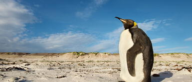 El calentamiento global podría generar daños irreversibles en el mundo. ONU alerta impacto irreversible del cambio climático en la humanidad