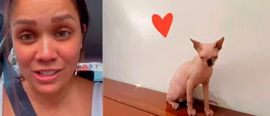 Andrea San Martín asegura que sus hija están contentas con la llegada de su gato esfinge. Andrea San Martín adopta a uno de los gatos más caros: "Algunos me dicen que feo"