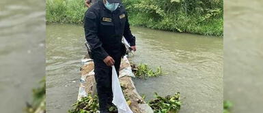 Efectivos policiales fueron avisado del cuerpecito de la recién nacida. Cuerpo de bebé recién nacida es encontrado en quebrada Moqueguano
