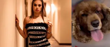 Jossmery Toledo se mostró preocupada por la 'bolita de grasa' que tenía 'Orejitas' Jossmery Toledo pidió a Dios que la operación de su 'bebé' salga bien | VIDEO