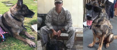Joshua Ashley siempre estuvo acompañado de su fiel compañero y desarrollaron una gran amistad. Militar falleció en combate y madre adopta a su perrito: "Era su última pieza viva"
