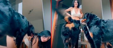 Rosángela Espinoza fue troleada por sus mascotas Rosángela Espinoza intentó imitar a Anitta, pero no pudo por sus mascotas | VIDEO