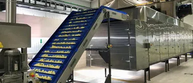 La tecnología permite avances de producción en el área industrial. Tecnología: nuevo sistema permite producir snacks saludables de pita a nivel industrial