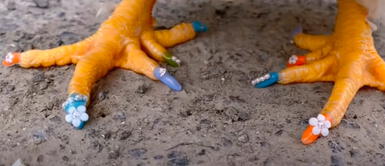 Dueña de gallina es criticada en redes sociales por realizarle la pedicura. China: Mujer le pinta las uñas a su gallina y causa sensación en redes