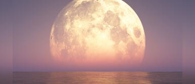 La primera Superluna del 2022: conoce cómo poder apreciarla La primera Superluna del 2022: conoce cómo poder apreciarla