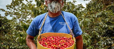 Material impreso y digital mostrará secretos del café peruano y entrevistas de expertos en la materia. Primera edición: Lanzan revista sobre “La ruta del café peruano”