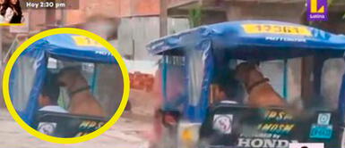 Menor de edad lleva a su perrito en mototaxi. Niño cautiva en redes al llevar a su perrito a su primer día de clases en Tarapoto